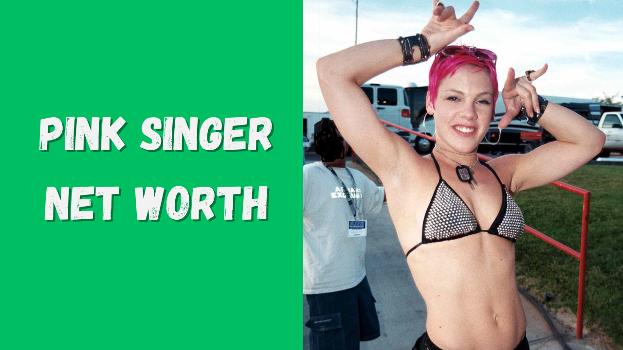 pink singer net worth