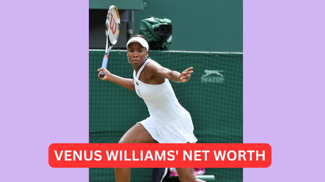 Venus williams net worth